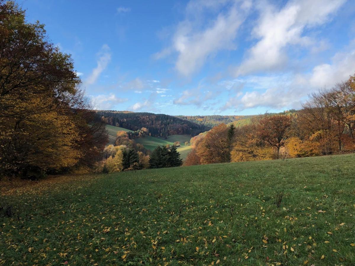 Burg Freienstein Blick 4 Sterne Mit Sauna Gammelsbach Екстер'єр фото