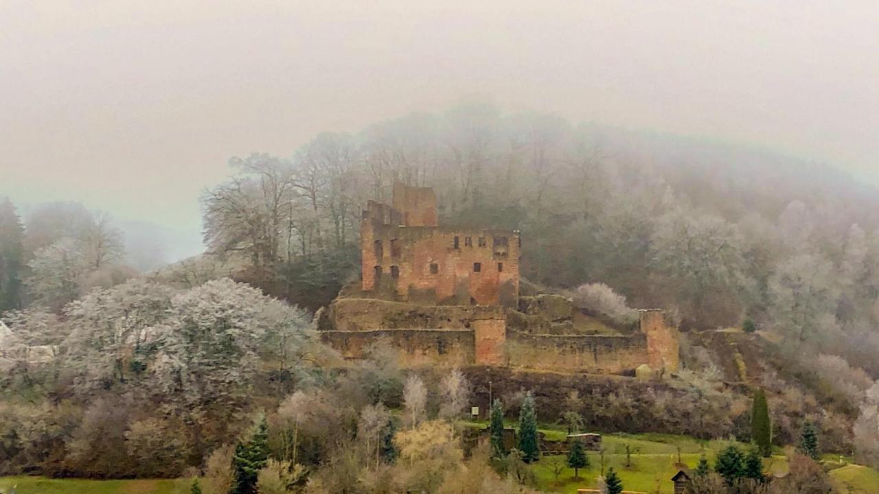 Burg Freienstein Blick 4 Sterne Mit Sauna Gammelsbach Екстер'єр фото