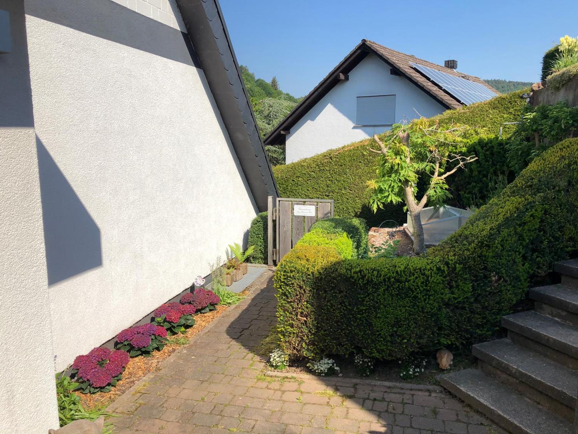 Burg Freienstein Blick 4 Sterne Mit Sauna Gammelsbach Екстер'єр фото